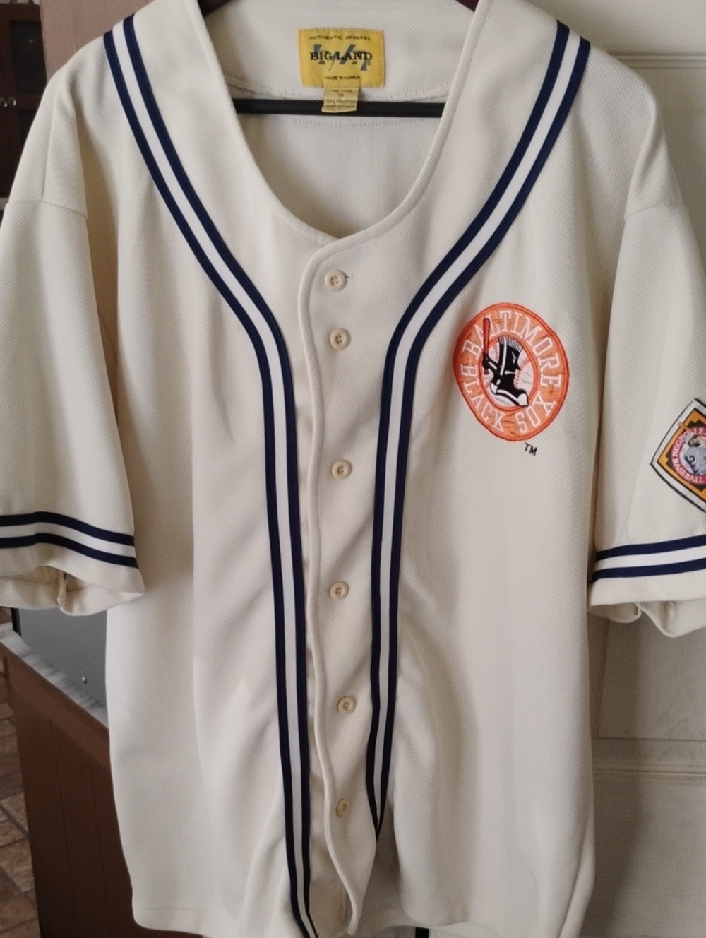 Baltimore Black Sox Jersey